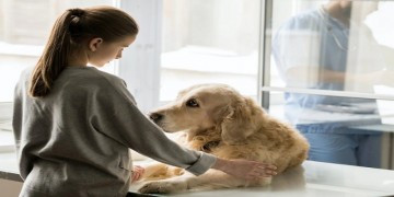 Aborn Pet Hospital